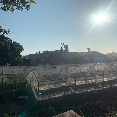 Dairy farming thumbnail